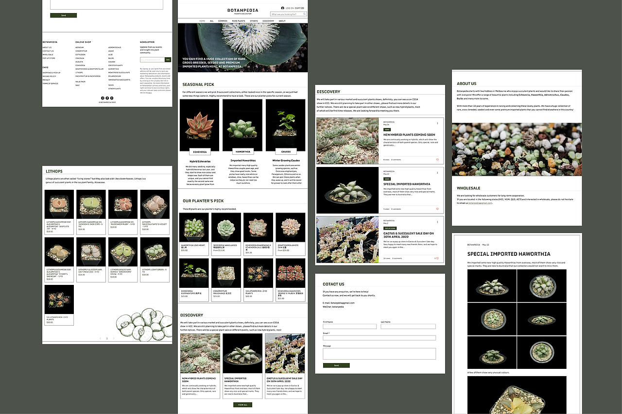 BOTANPEDIA 多肉植物专卖店 (2023)（图ZMzIwOTIyNTIw） - 品牌 - 站酷设计师ONOFF工作室原创素材 - 站酷ZCOOL