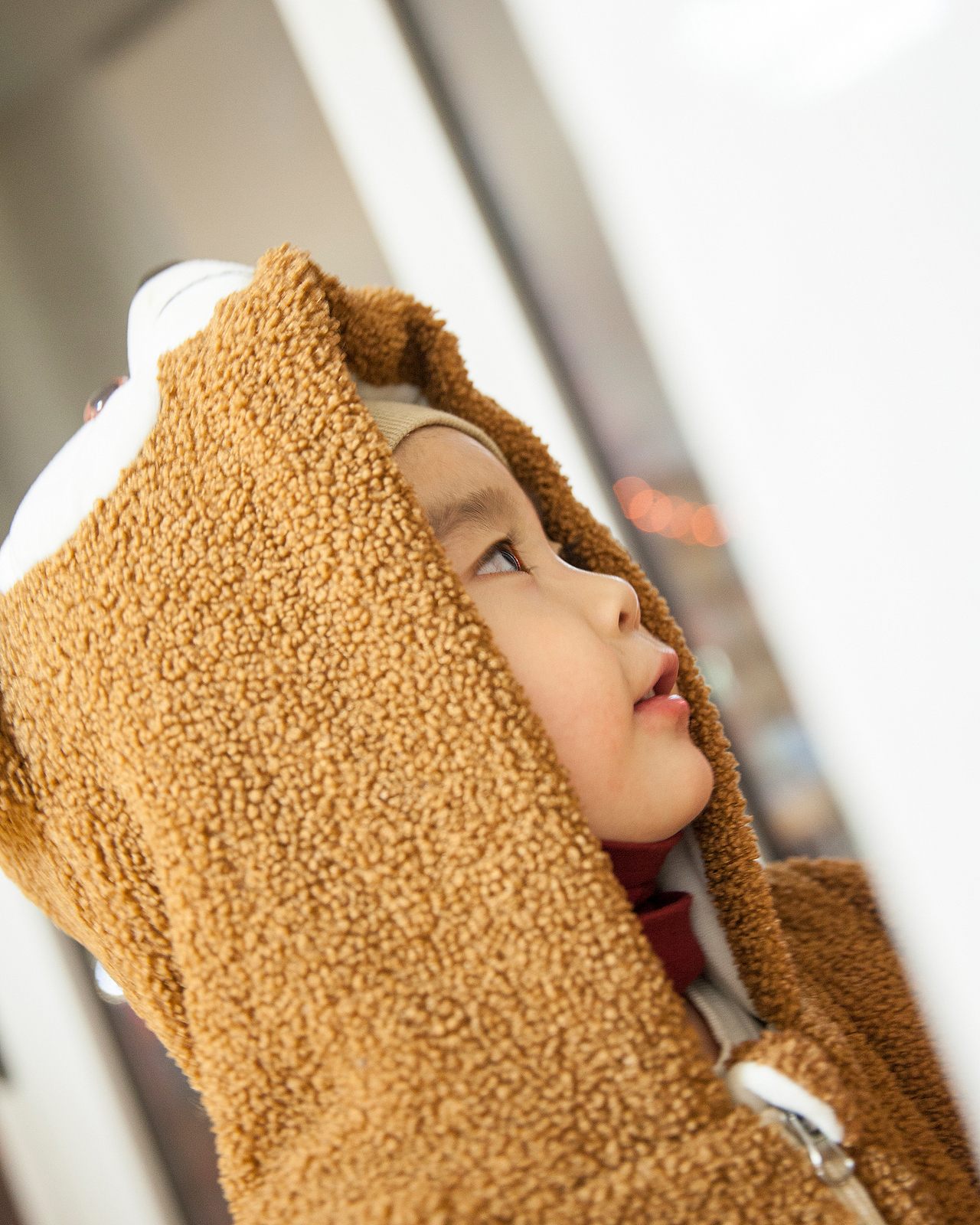 WEEK 2 2023 八斤的成长周记录