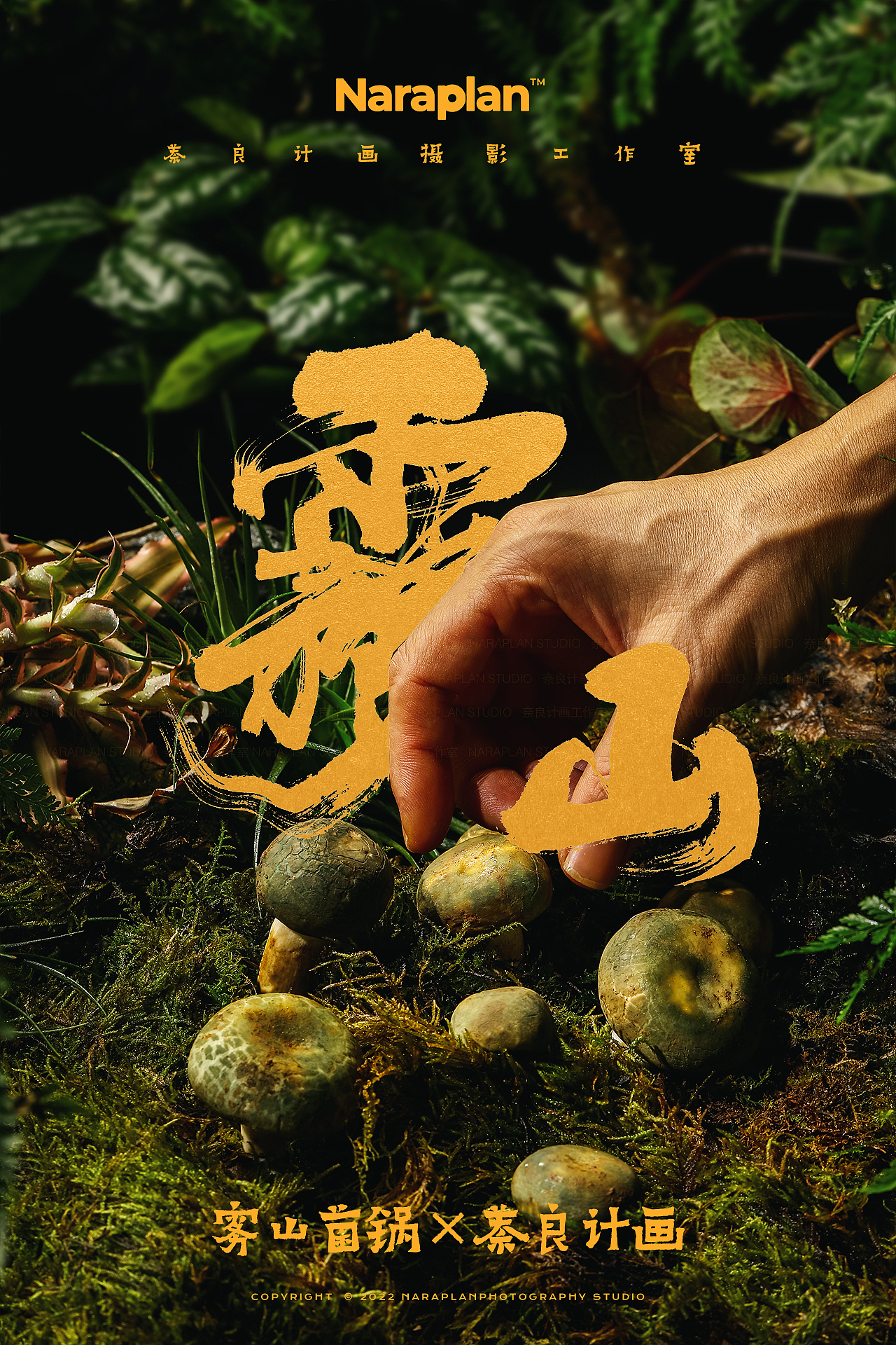 雾山菌锅×萘良美食摄影 | 松茸菌菇火锅美食造景