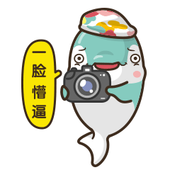 摄影馆IP海豚形象设计及表情包【泰而美动漫】（图ZMzQyODY1Mjgw） - 网络表情 - 站酷设计师泰而美动漫原创素材 - 站酷ZCOOL