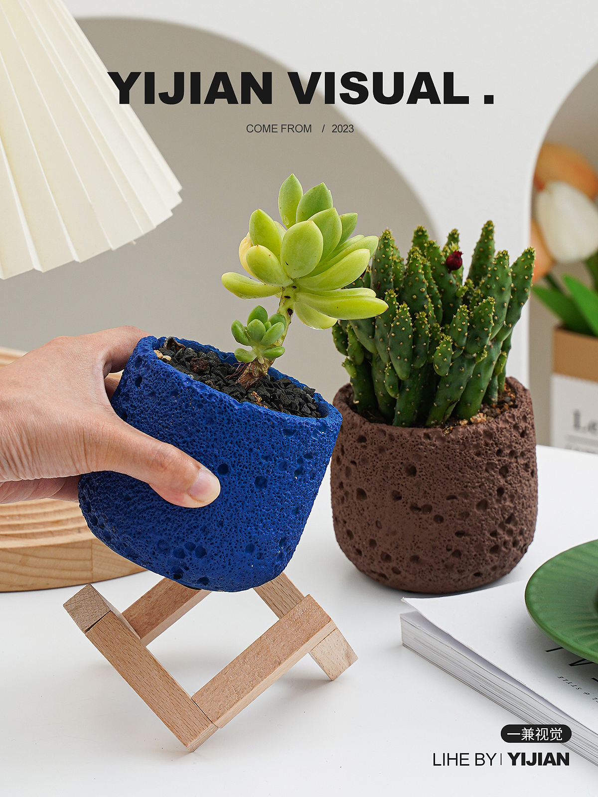 产品摄影 | 盆栽产品拍摄案例（图ZMzUwOTA4NjM2） - 电商 - 站酷设计师一兼视觉工作室原创素材 - 站酷ZCOOL