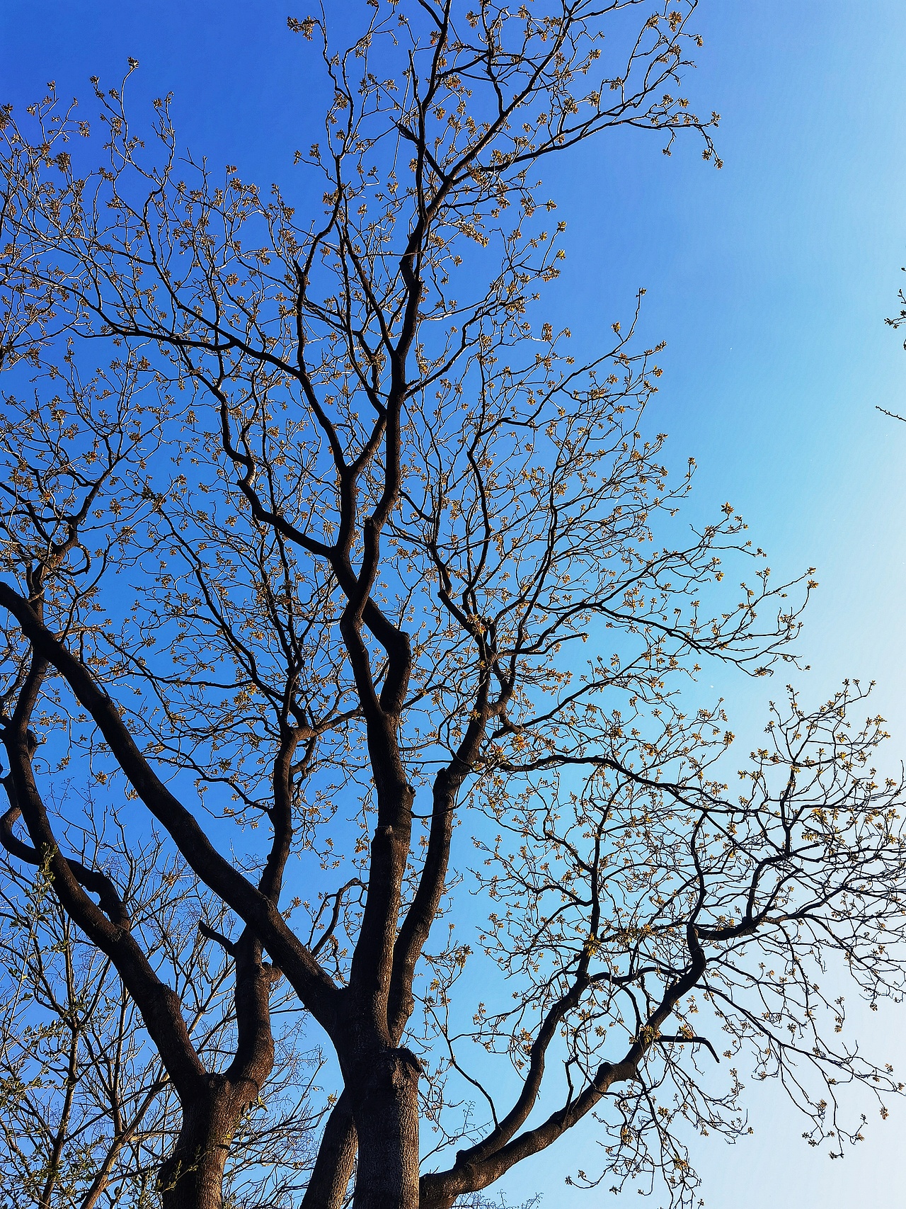 苏醒的动物和人（图ZMzM2MDU5NTQ4） - 风光摄影 - 站酷设计师湖西路十六号原创素材 - 站酷ZCOOL