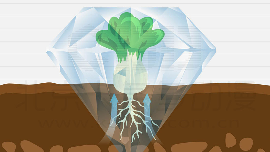 MG动画flash动画二维动画手绘动画定制动画创意动画