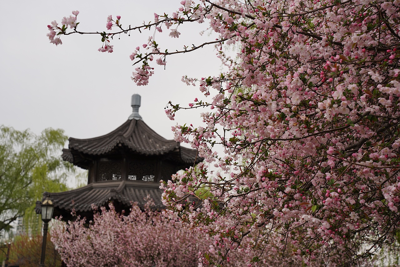 南京莫愁湖公园