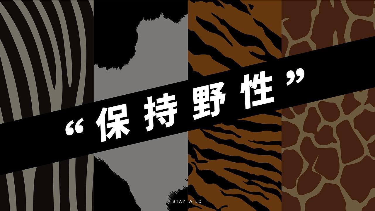 保持野性 巧克力包装设计