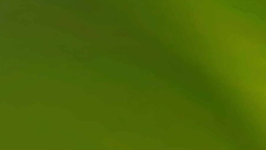 HEORSHE 宝宝餐椅产品动画（图ZMzQ2MDk1NzA0） - 动画/影视 - 站酷设计师L_涌原创素材 - 站酷ZCOOL