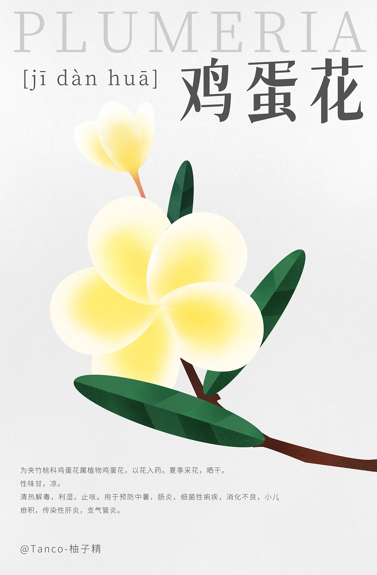 瓜果蔬菜花花（图ZMzA3NDUwNDY4） - 创作习作 - 站酷设计师Tanc_o原创素材 - 站酷ZCOOL