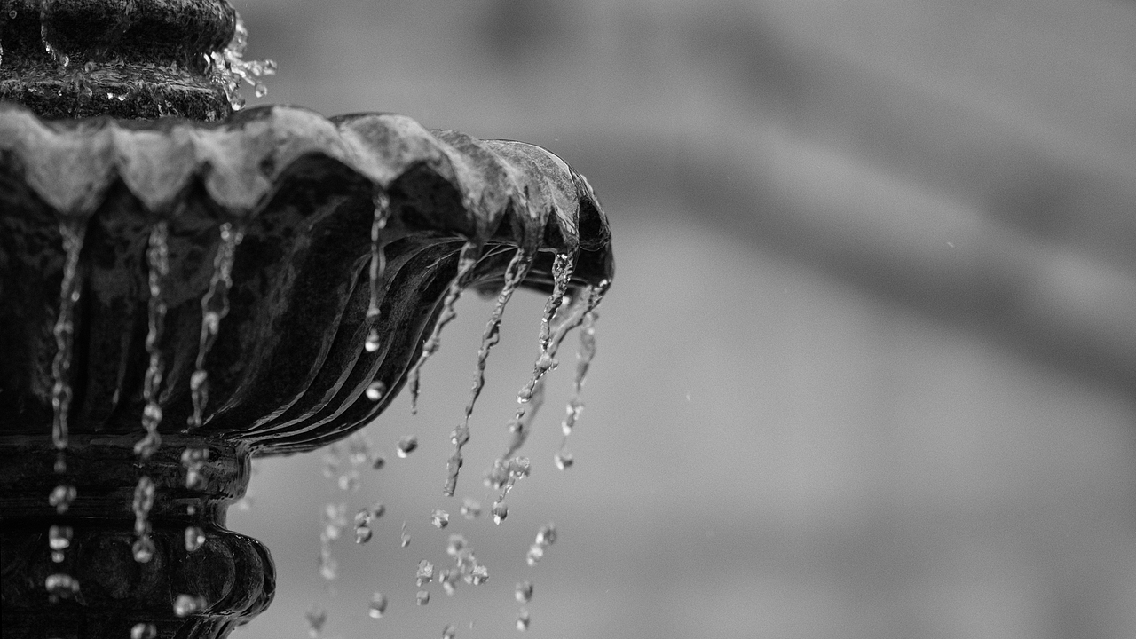 端午闲游-云栖竹径