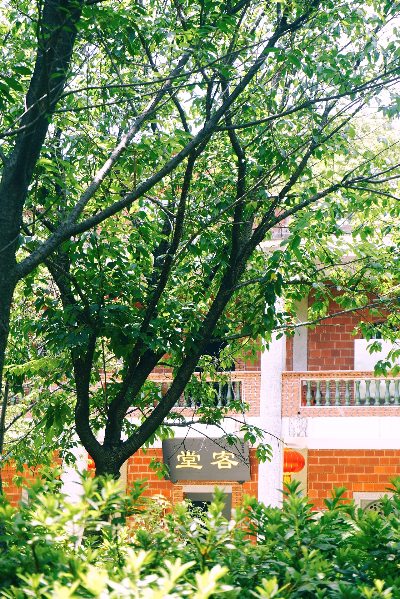 印象-泉州（图ZMzQ1OTAxMzY0） - 人文/纪实摄影 - 站酷设计师Kathmandu09原创素材 - 站酷ZCOOL