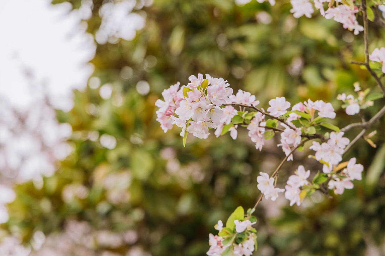 宿迁骆马湖罗曼园（图ZMzQwMjk2Nzgw） - 风光摄影 - 站酷设计师延长线_31原创素材 - 站酷ZCOOL