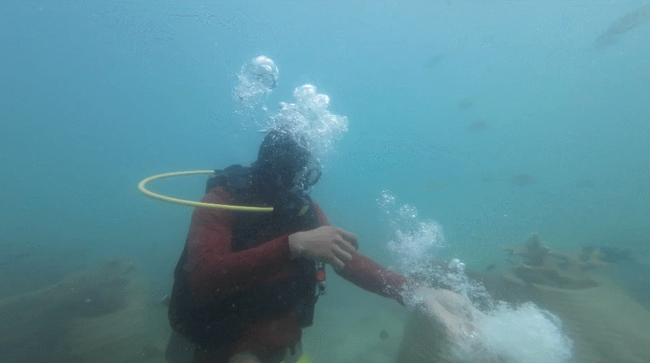 安戈力泰国之旅！见证泰王国的绚丽风景！