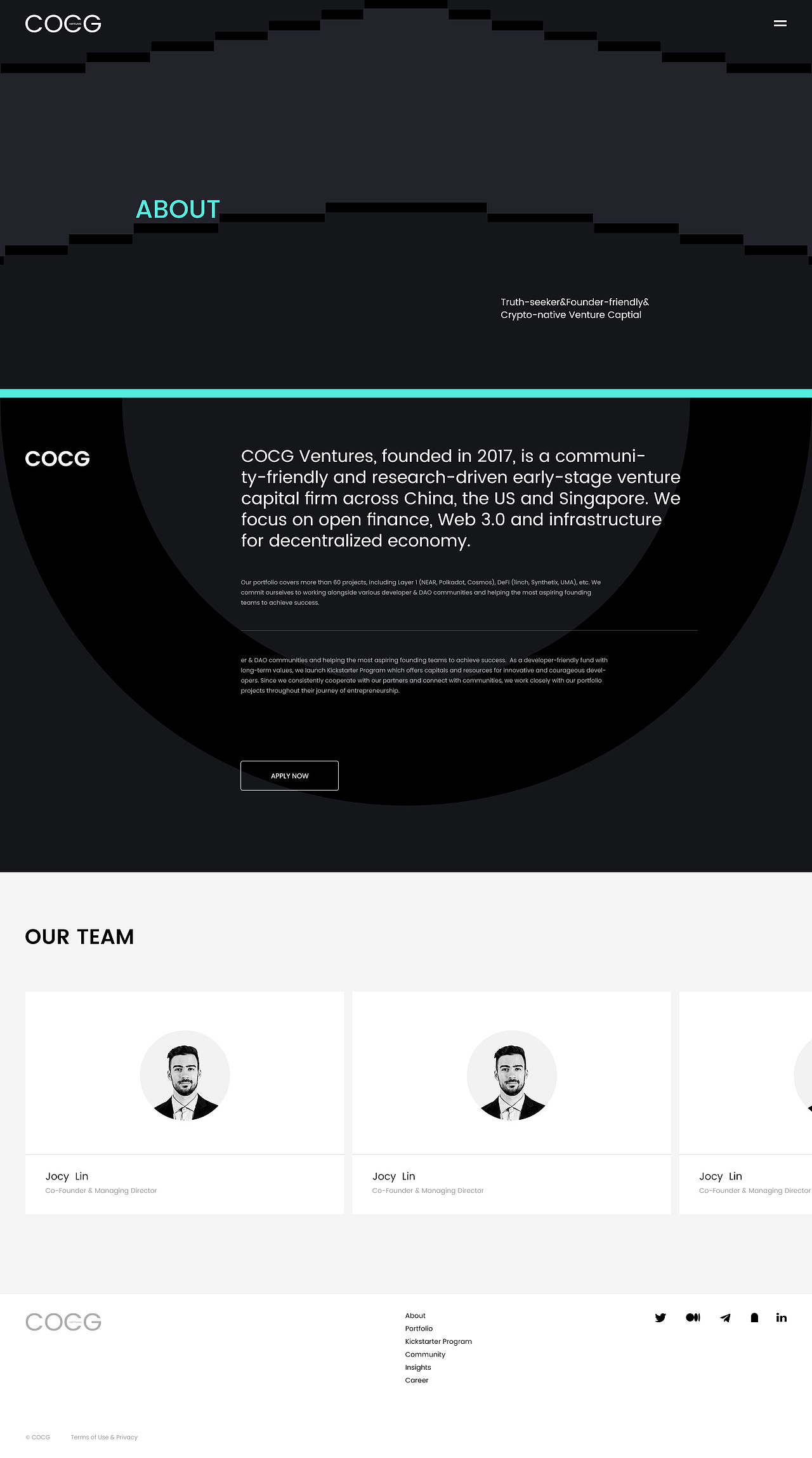 COCG海外战略投资独立站官网视觉