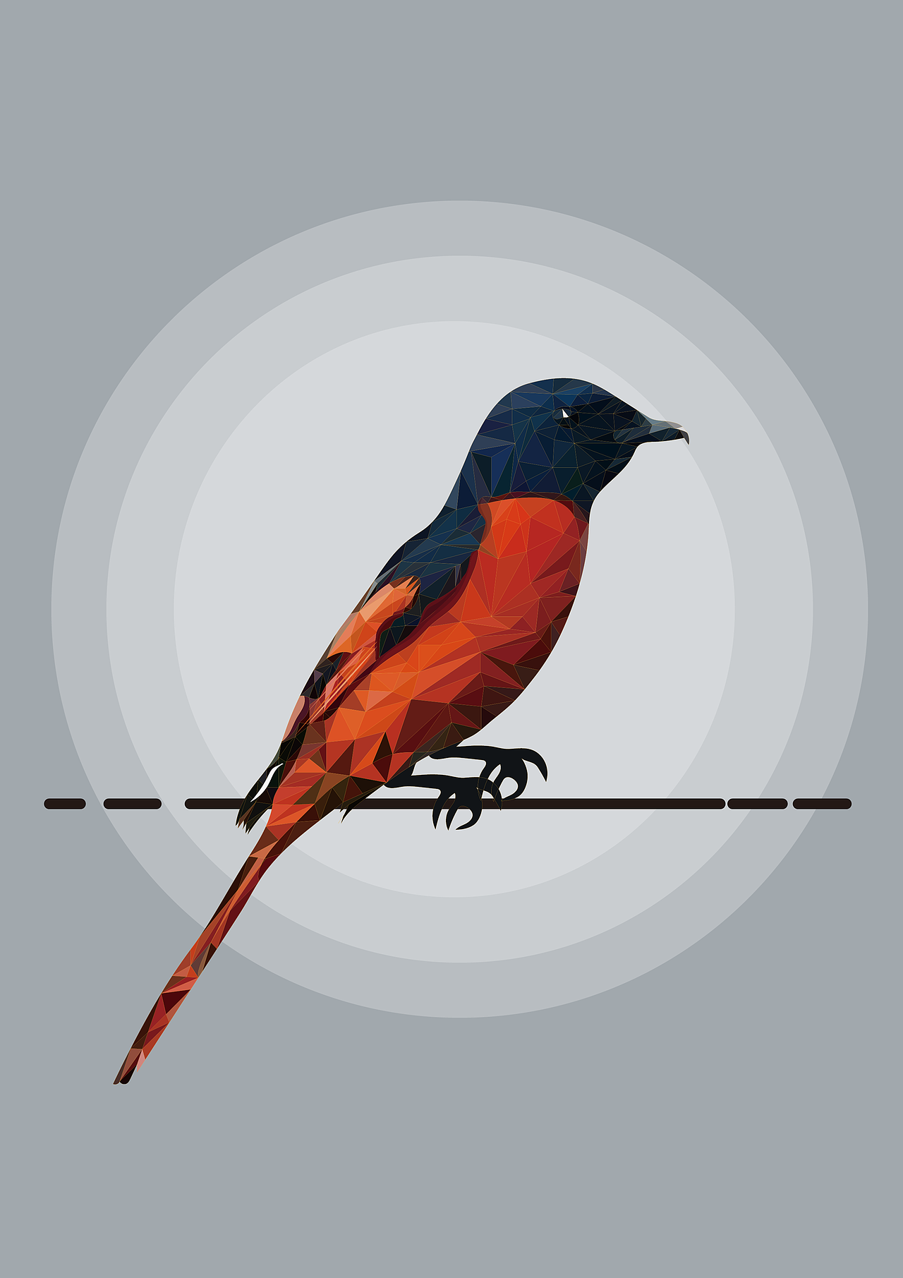 lowpoly风格珍惜鸟类2