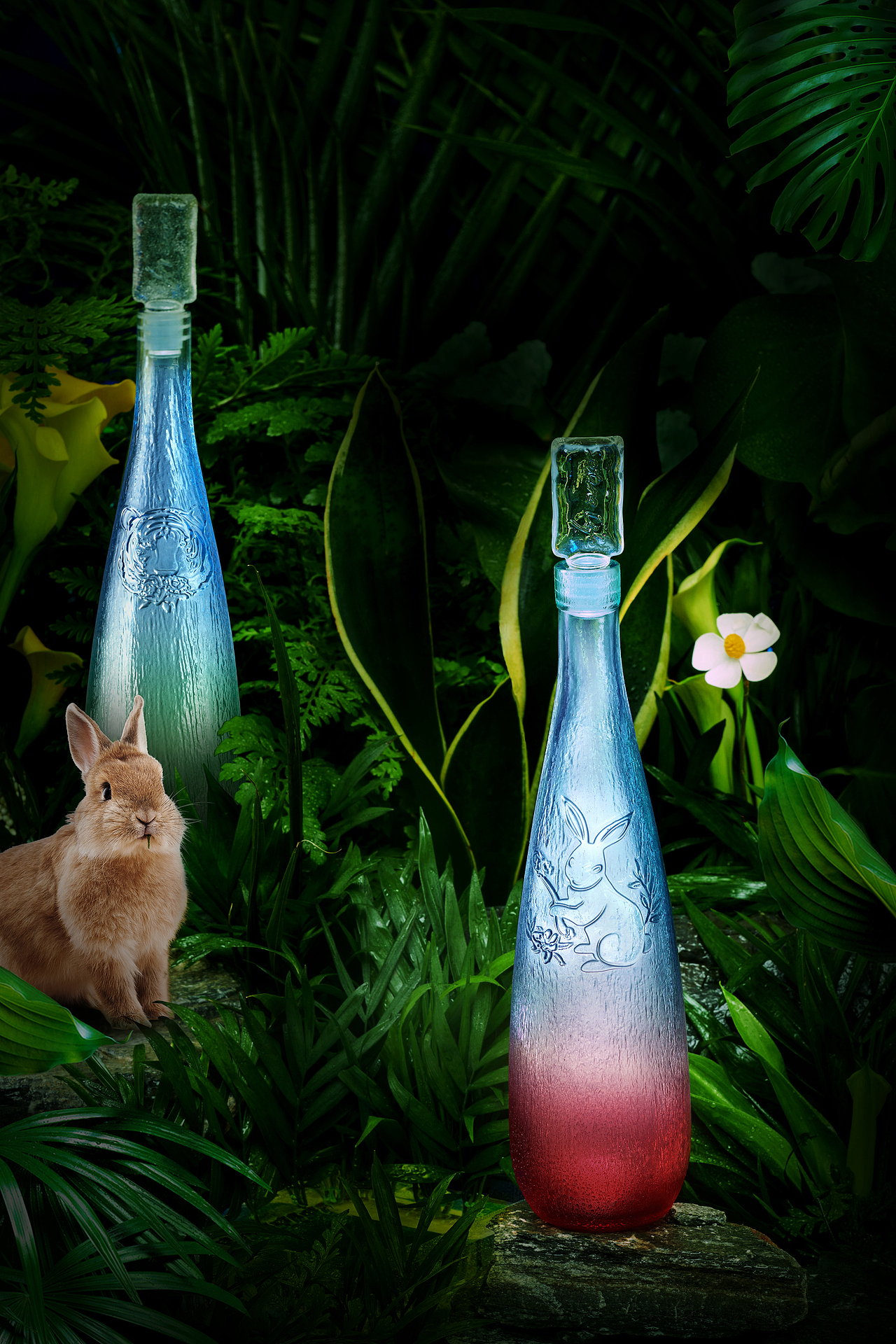 过完春节,做个2022年度总结