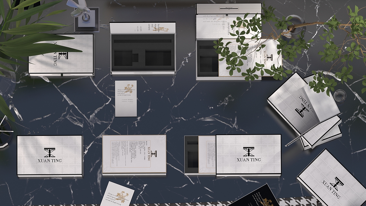 轩廷香氛品牌包装设计