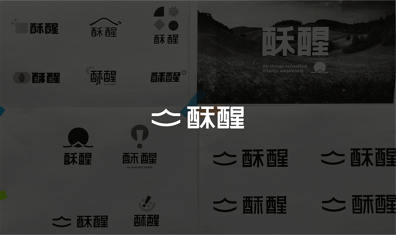 酥醒宠粮品牌VI及产品包装设计（图ZMzU0NzY0MjMy） - 品牌 - 站酷设计师FungoDesign原创素材 - 站酷ZCOOL