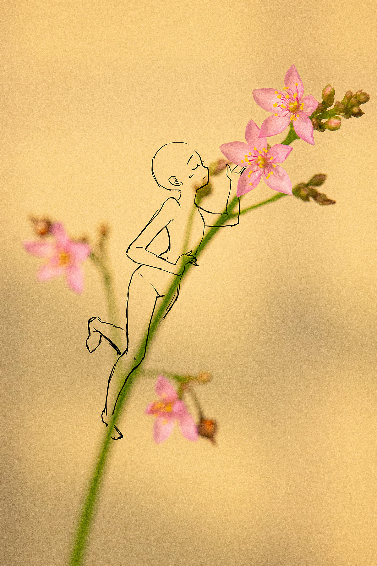 花与少女【1】（图ZMzQ2Nzc3MjI0） - 商业插画 - 站酷设计师夕安_CA原创素材 - 站酷ZCOOL