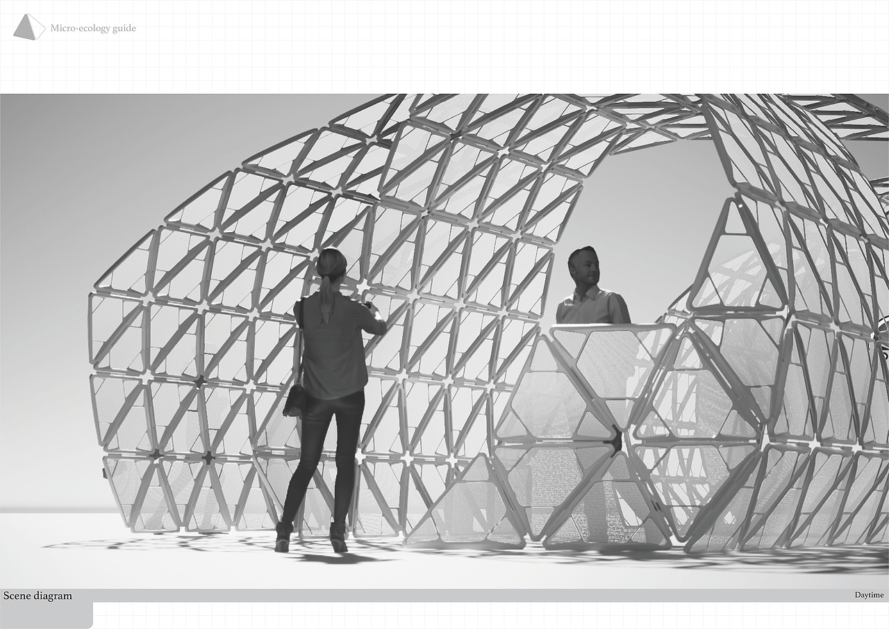 #2022青春答卷#微生态指南 Micro-ecology guide