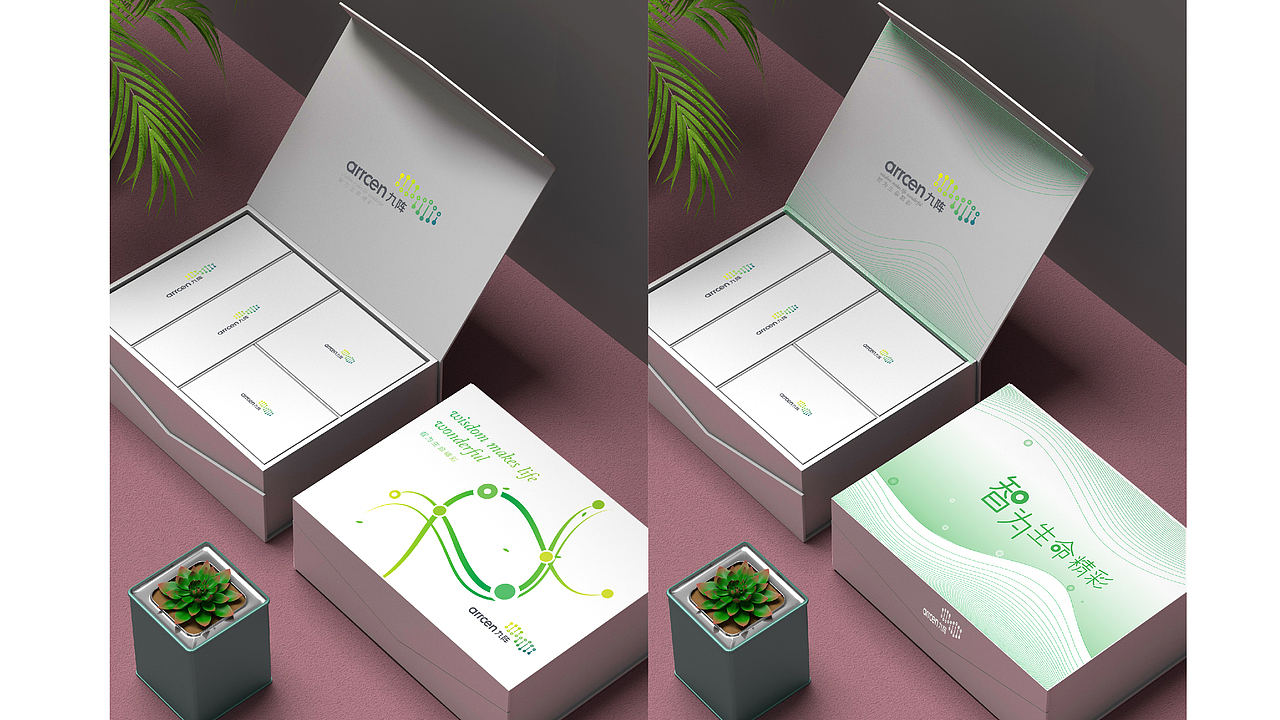 2021包装设计总结