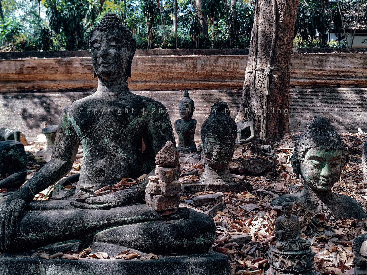 深山藏古寺 野林觅禅踪—清迈小众秘境