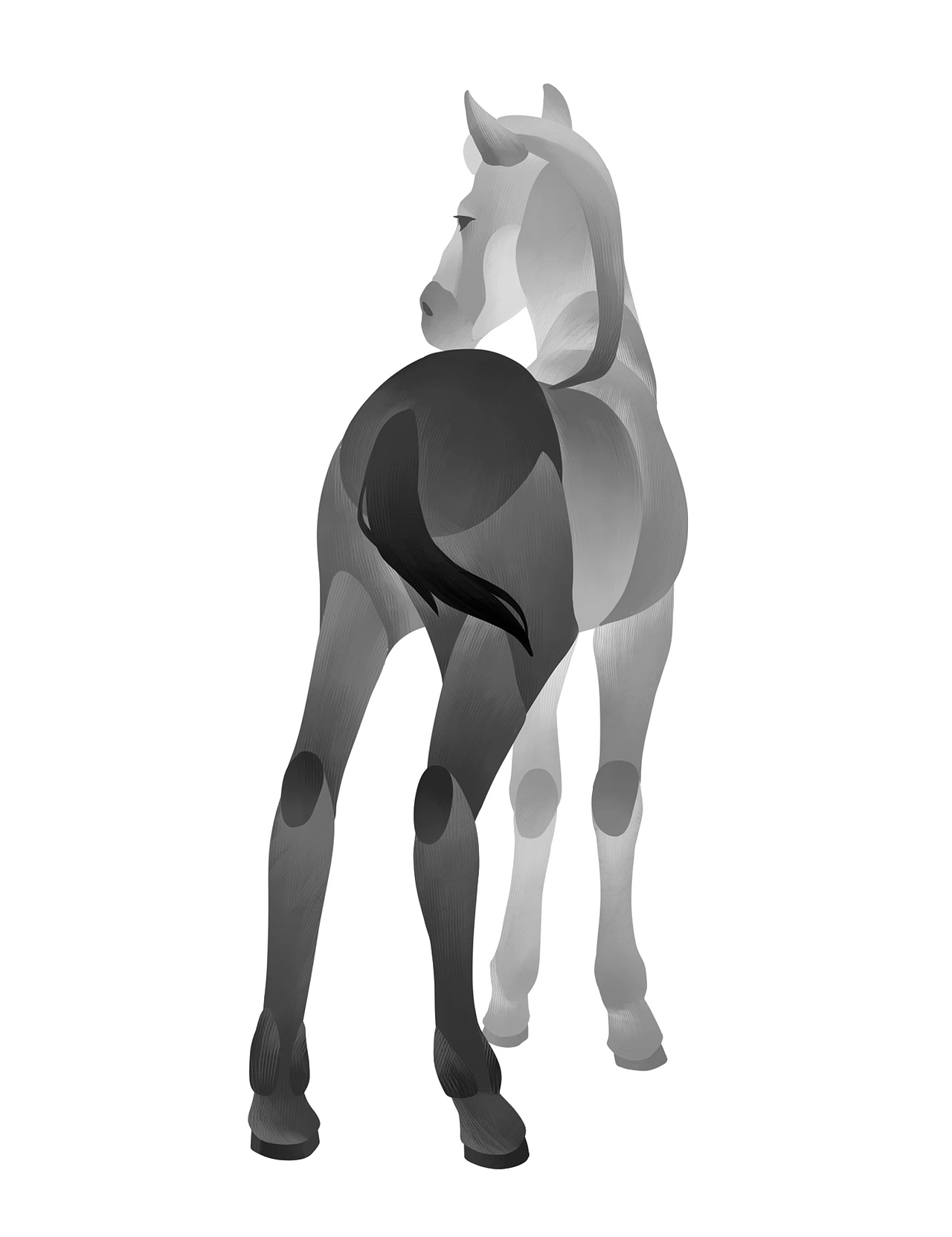 小动物插画风格化尝试（图ZMzE5MzU5NDky） - 商业插画 - 站酷设计师柿子辣椒原创素材 - 站酷ZCOOL