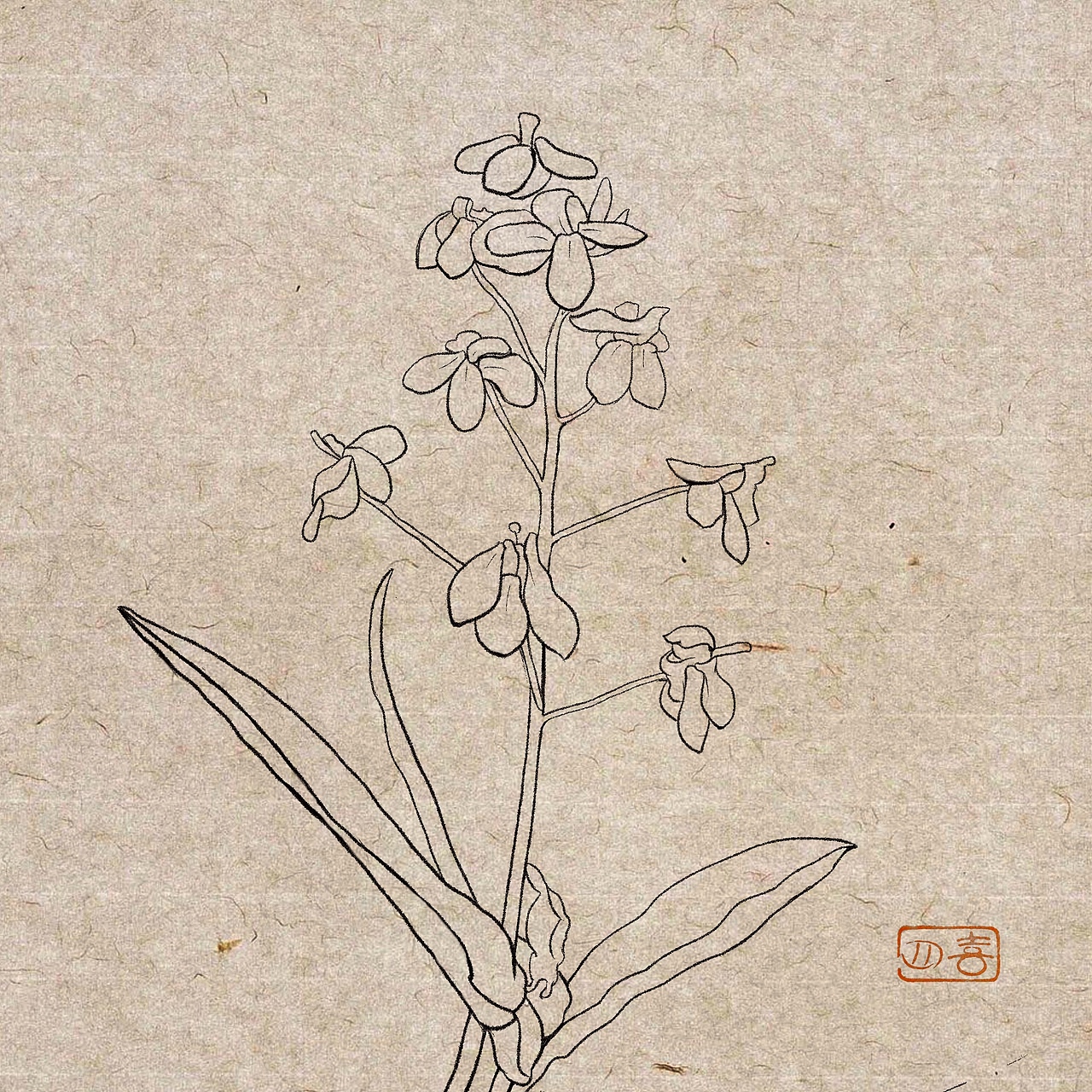 虽然有满片的花海,
但我唯独中意呢~