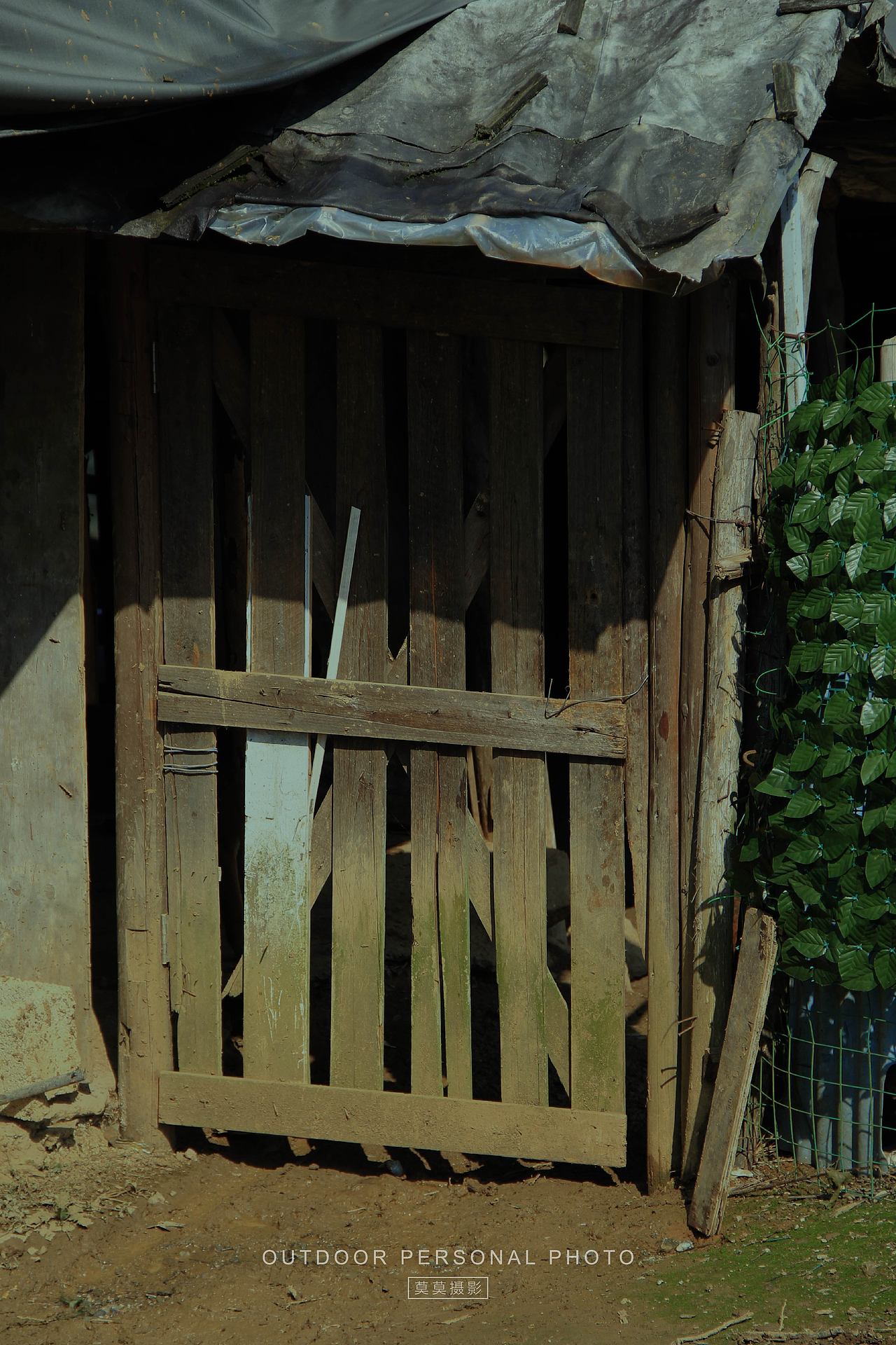 村里的风景,平淡却耐看