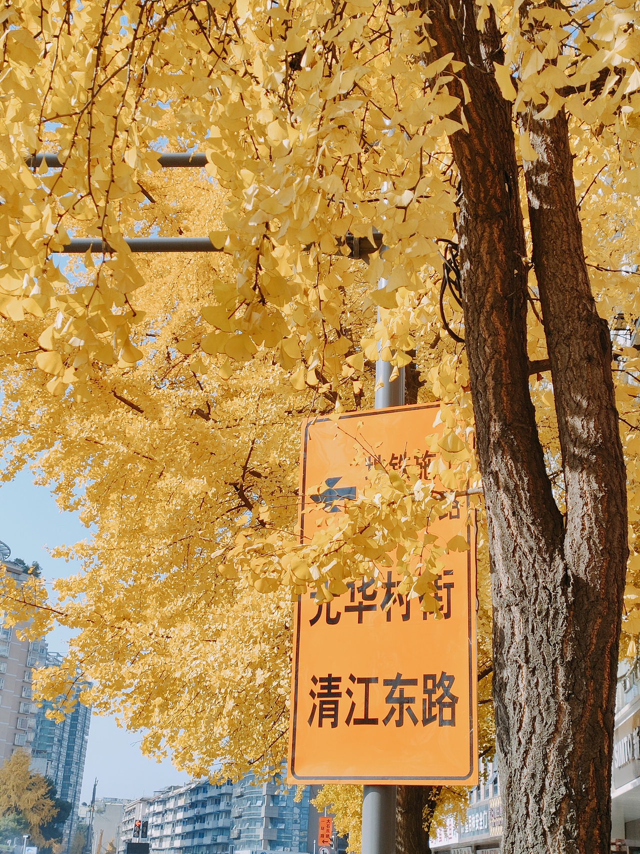 秋色（图ZMzYwMTM4NzIw） - 风光摄影 - 站酷设计师不羁的自由原创素材 - 站酷ZCOOL