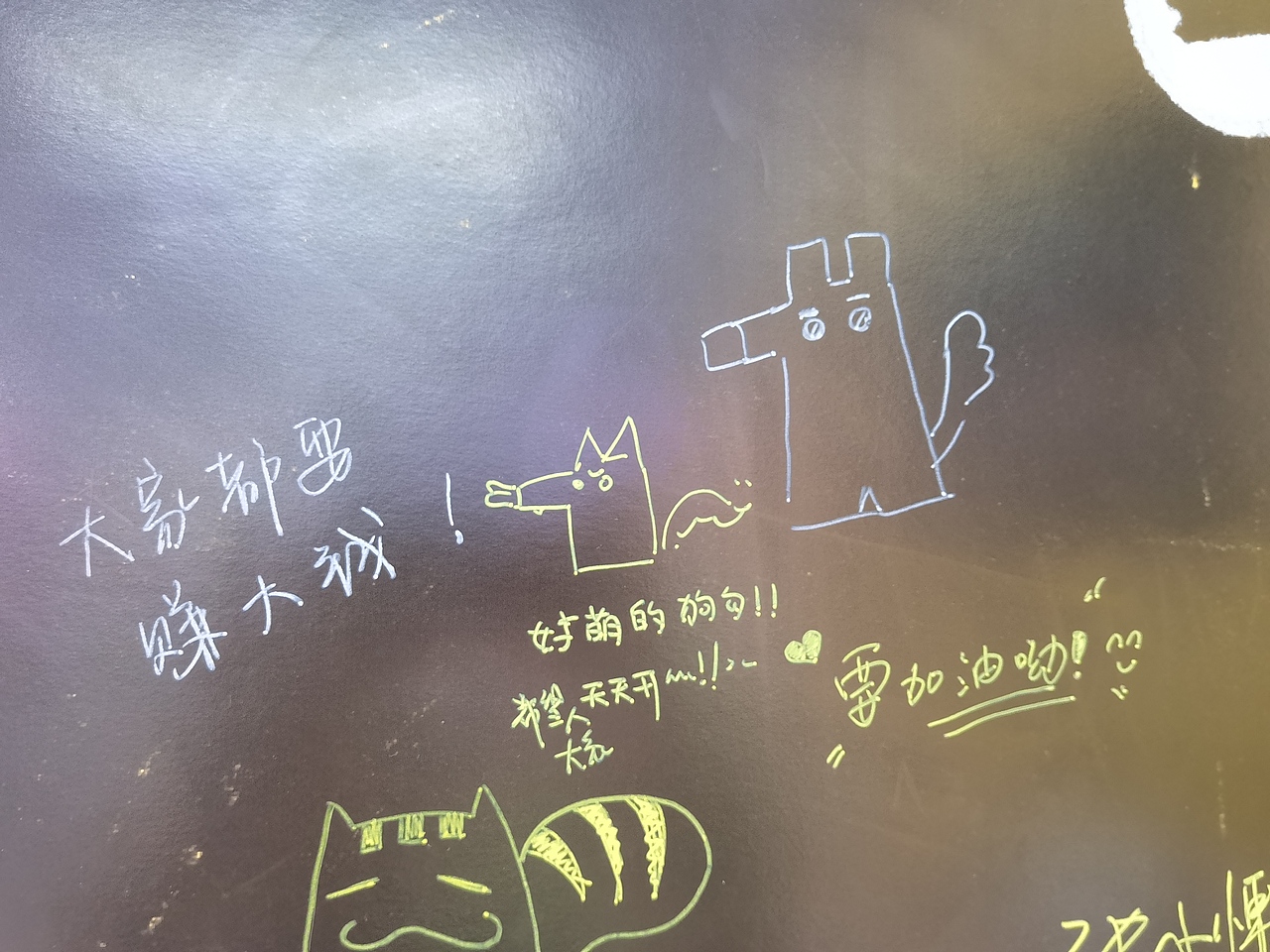 《小黑》的视频与小花絮（图ZMzEyOTUzNTU2） - IP形象 - 站酷设计师一帆帆帆帆一原创素材 - 站酷ZCOOL