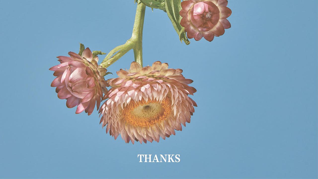 花林源 国风草药面膜设计（图ZMzM0MzA5ODg0） - 包装 - 站酷设计师柏星龙设计原创素材 - 站酷ZCOOL