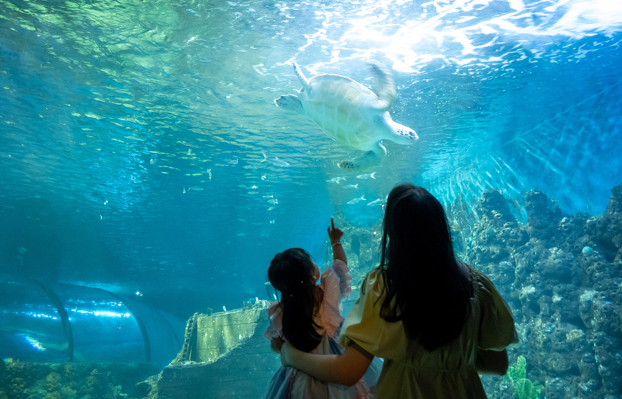 雨润江南（图ZMzUxMTMzNDc2） - 人像摄影 - 站酷设计师爱插画的二球原创素材 - 站酷ZCOOL