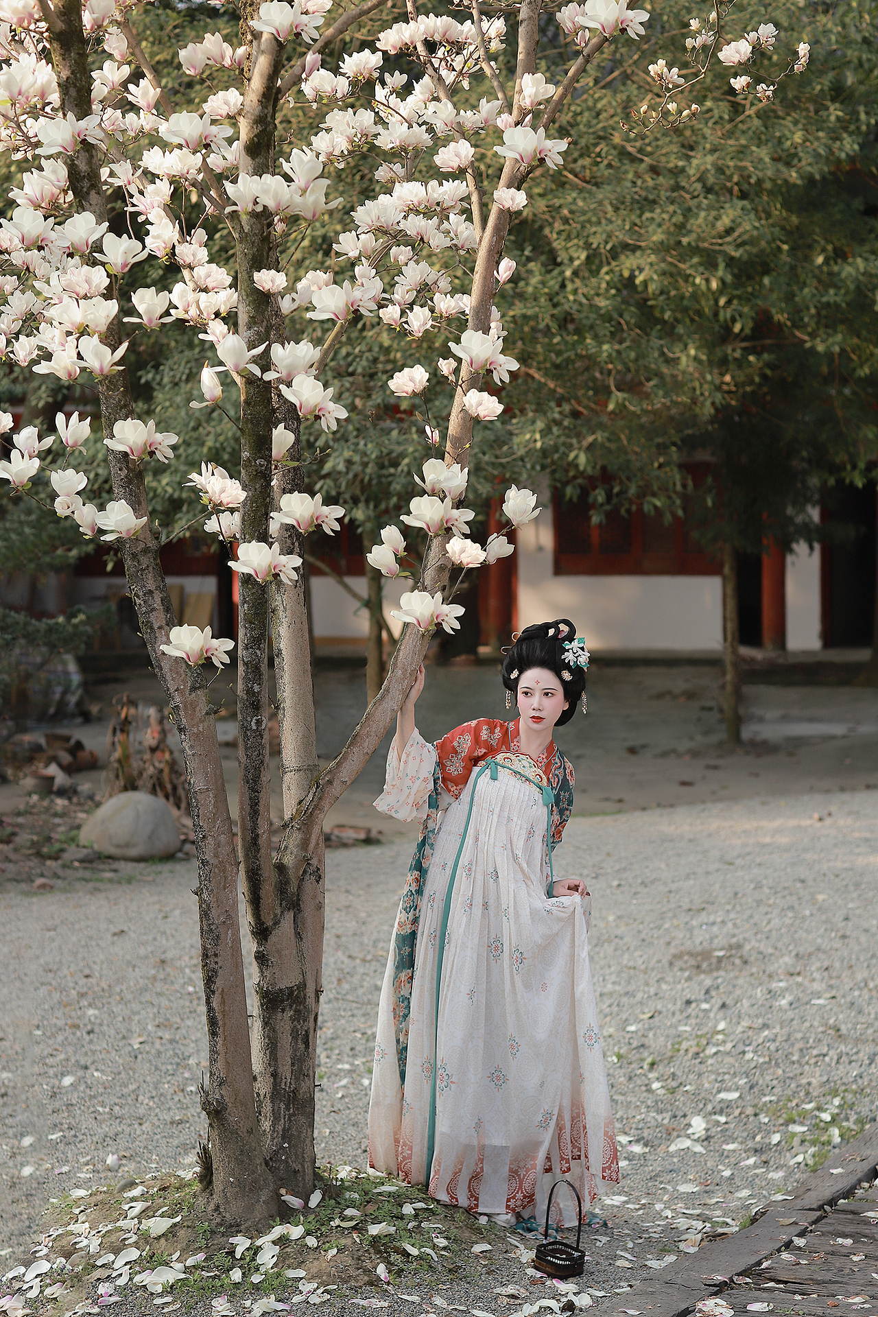 客片｜玉兰花唐风复原少女汉服古风写真（图ZMzQ4MTQ4NDY0） - 人像摄影 - 站酷设计师成都摄影安静原创素材 - 站酷ZCOOL