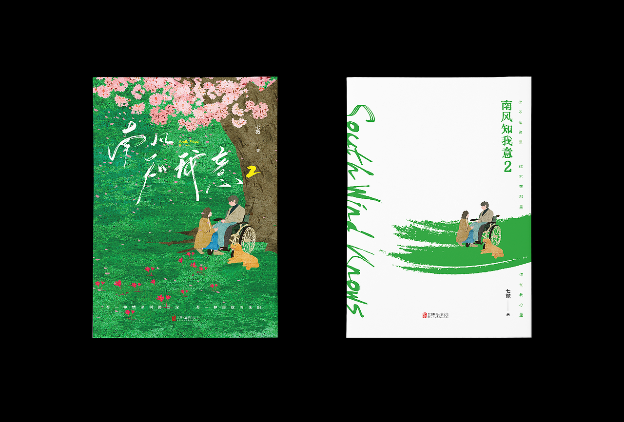 书籍装帧设计 《南风知我意2》