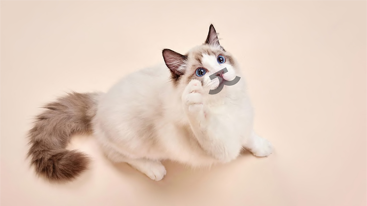 懒派の养宠 — π小獸（图ZMzQyOTgyMTQw） - 包装 - 站酷设计师RFstudio原创素材 - 站酷ZCOOL