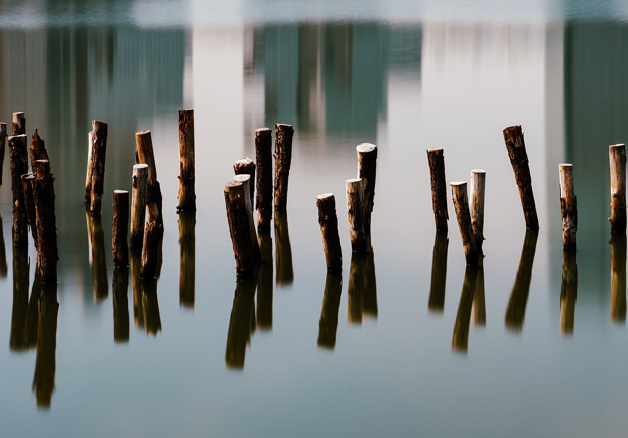 城市风光摄影-深圳湾公园（图ZMzU2NzE2MzYw） - 风光摄影 - 站酷设计师啊啵痴嘚饿浮鸽原创素材 - 站酷ZCOOL