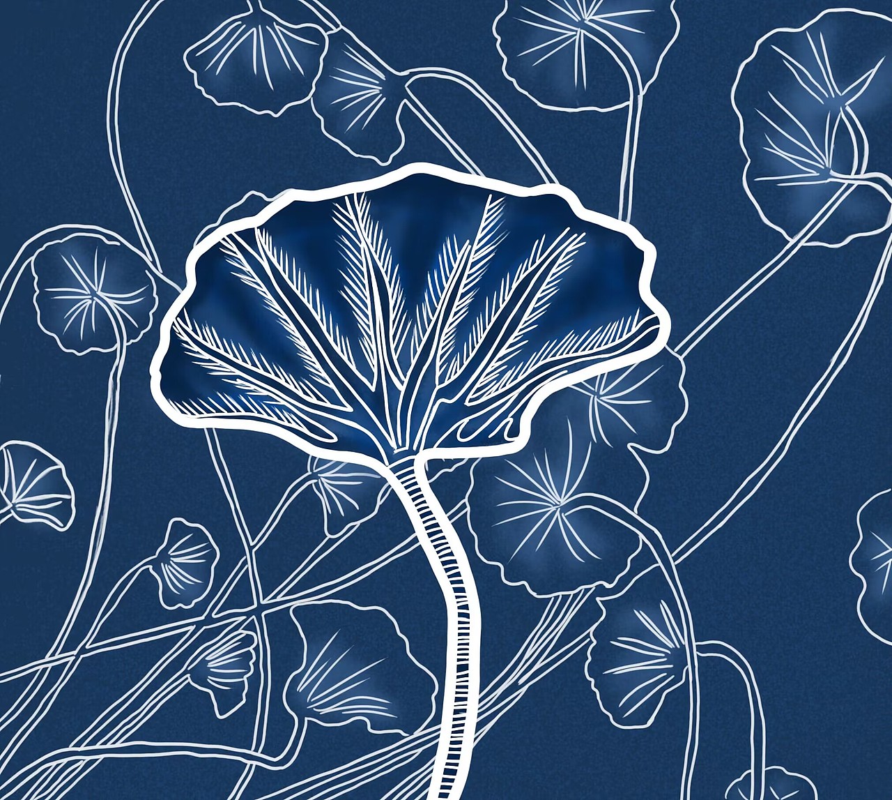 曲靖博物馆海百合文创设计