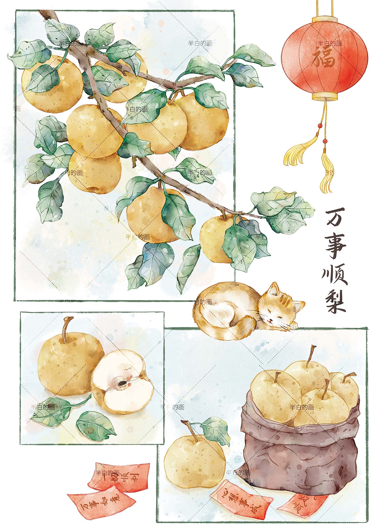 植物花卉图鉴插画