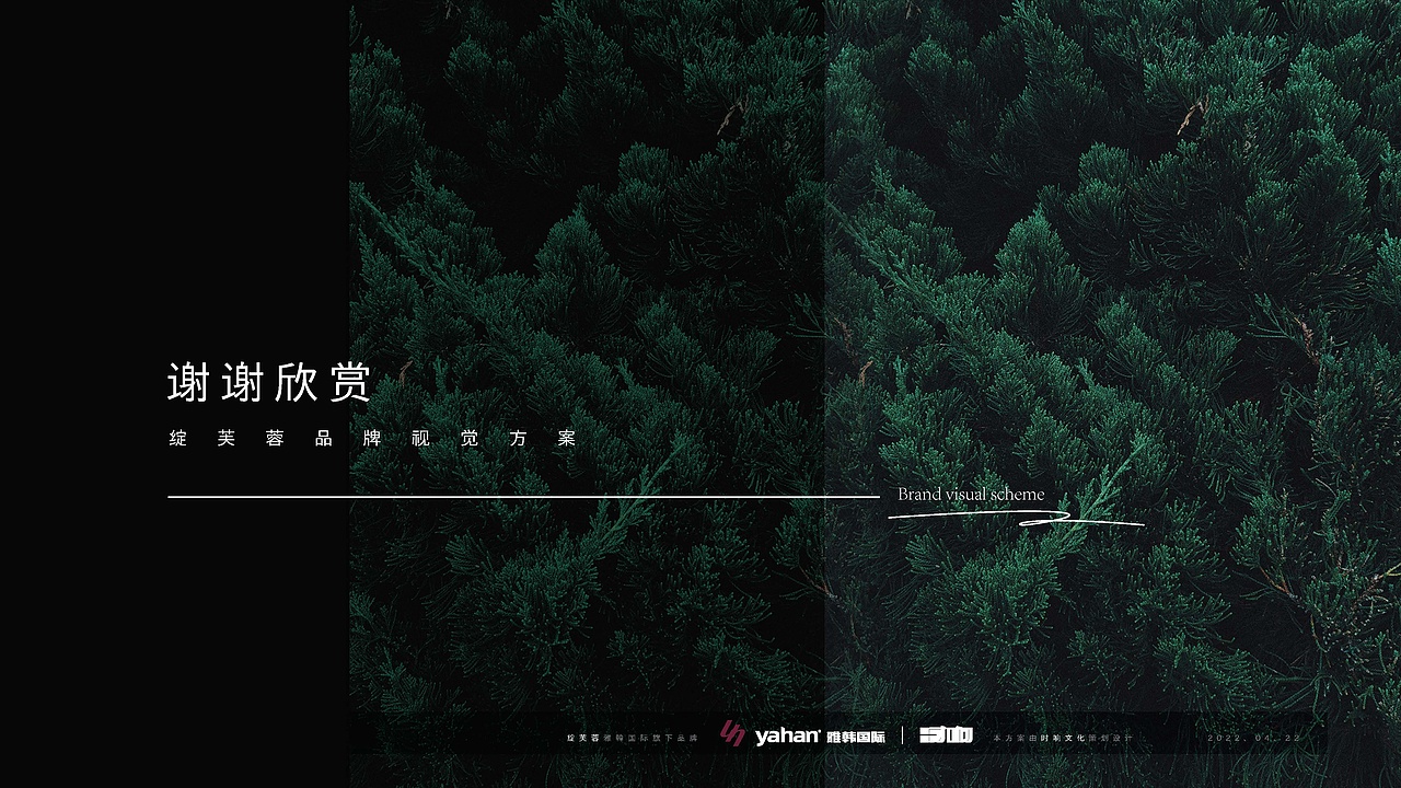 美业品牌Logo及Vi设计