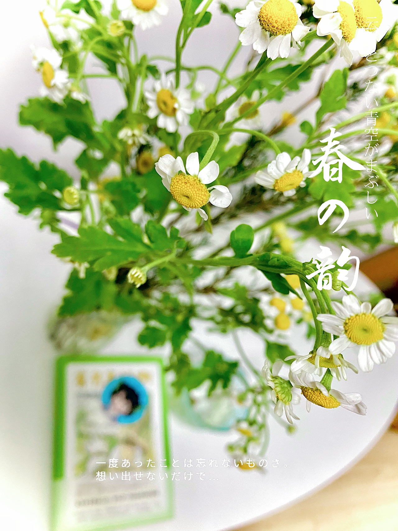 春日來(lái)信（圖ZMjk2NjQ1OTgw） - 其他 - 站酷設(shè)計(jì)師花犵狑原創(chuàng)素材 - 站酷ZCOOL