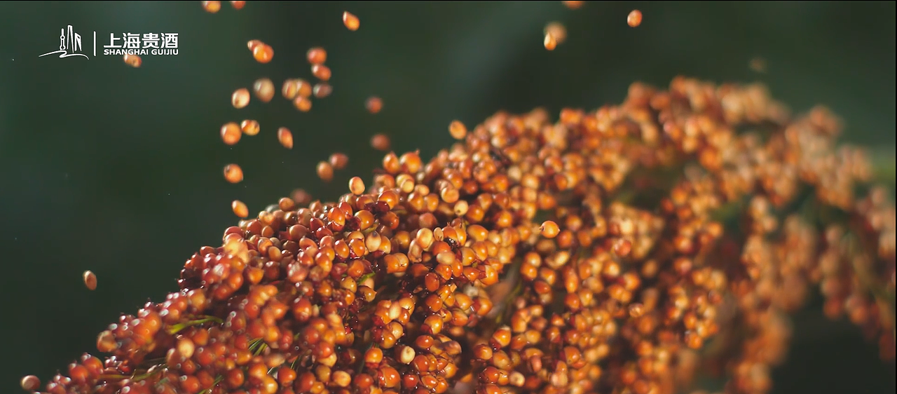 上海贵酒高酱产品宣传片（图ZMzU4Mjg3NTQ4） - 宣传片 - 站酷设计师流灬火原创素材 - 站酷ZCOOL