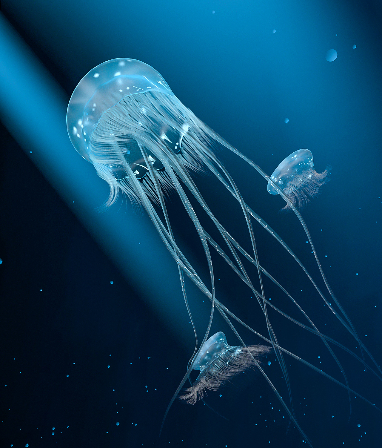 水母精华液产品渲染小视频（图ZMzI2NzY0NjIw） - 电商 - 站酷设计师范铭蓝Fminglan原创素材 - 站酷ZCOOL