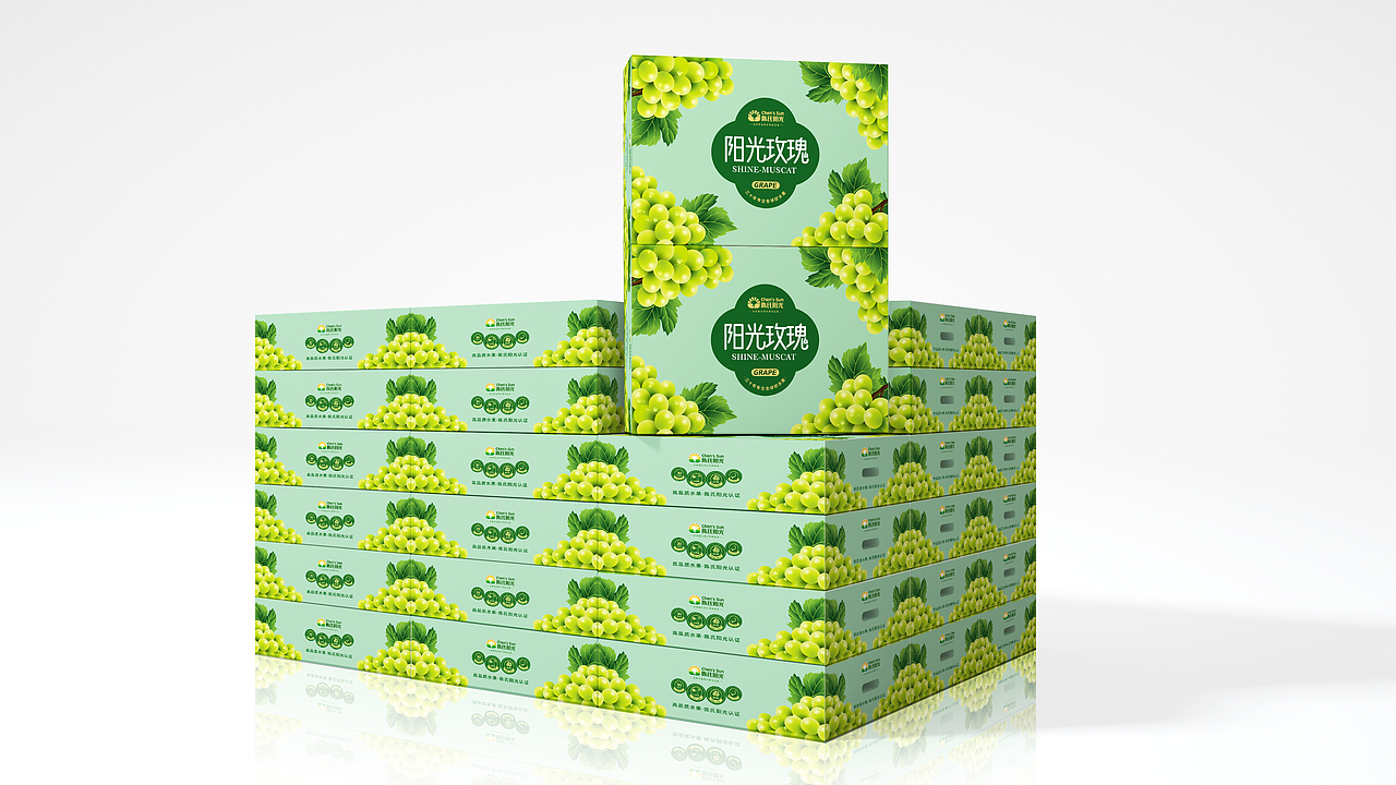 陈氏阳光X智生万象 | 包装设计 就要把食欲感拉满