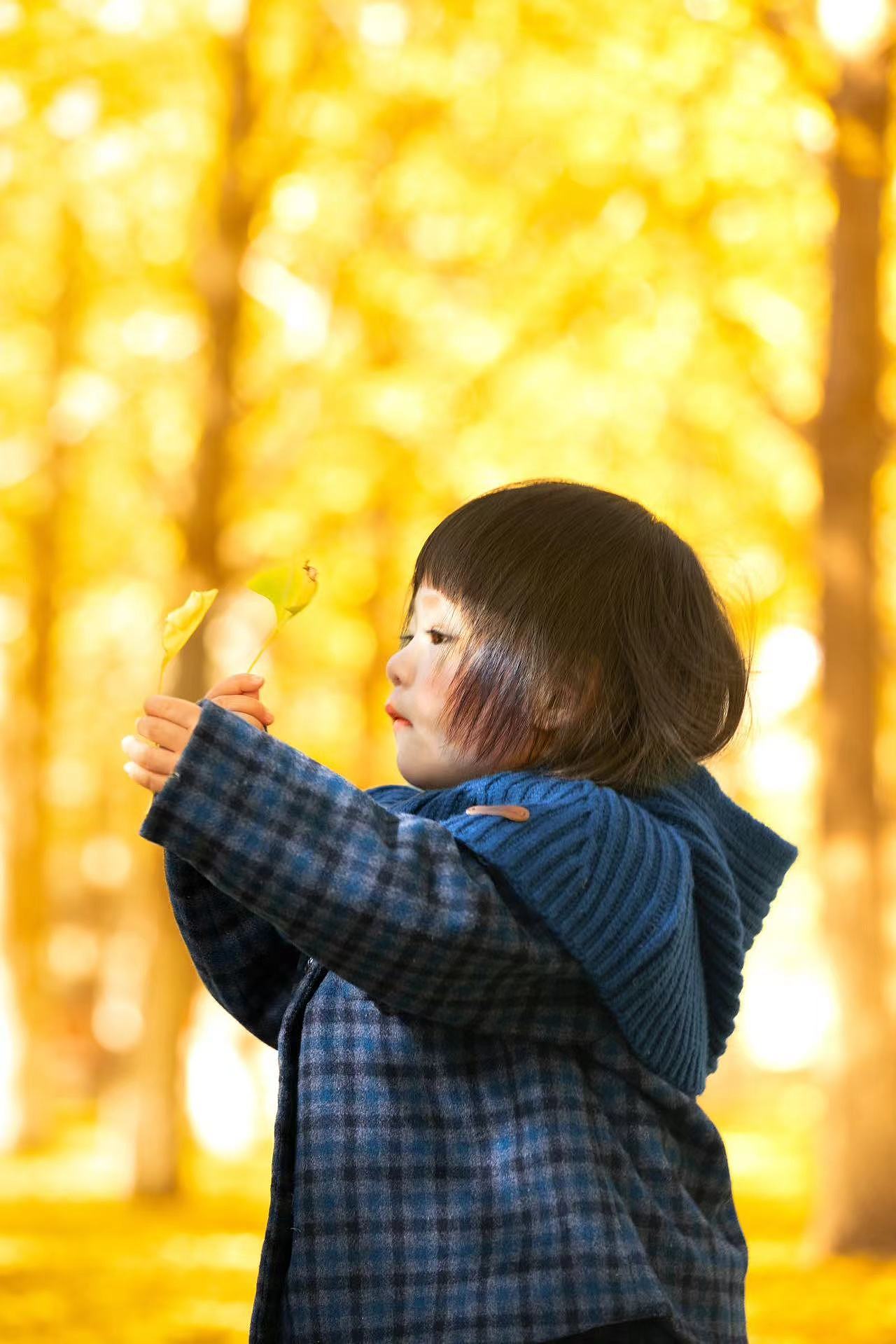 抓住秋天的尾巴