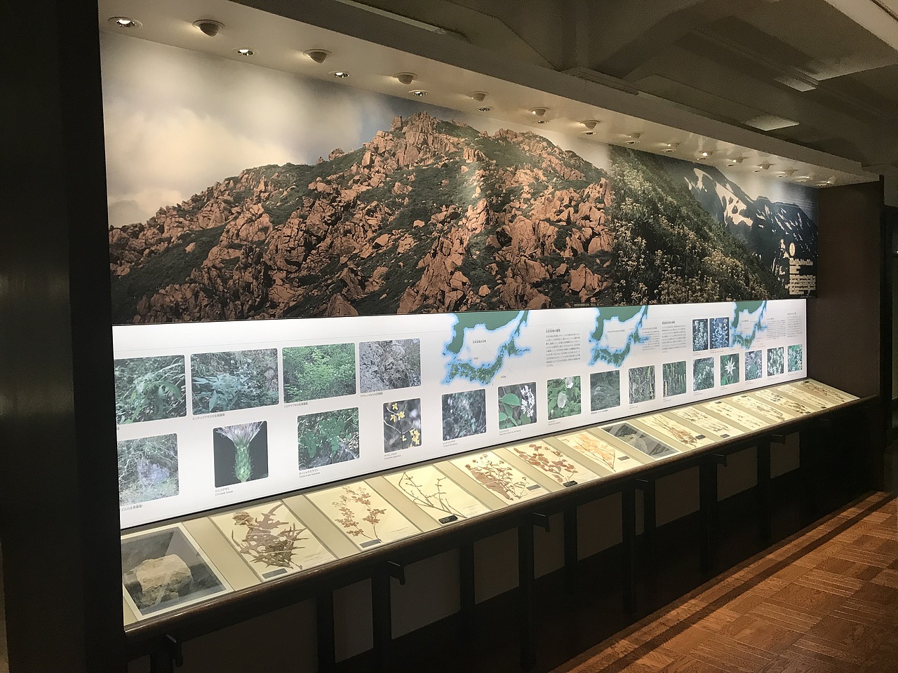 东京国立科学博物馆（图ZMzA5OTUxMzcy） - 展陈设计 - 站酷设计师JIANG2015原创素材 - 站酷ZCOOL