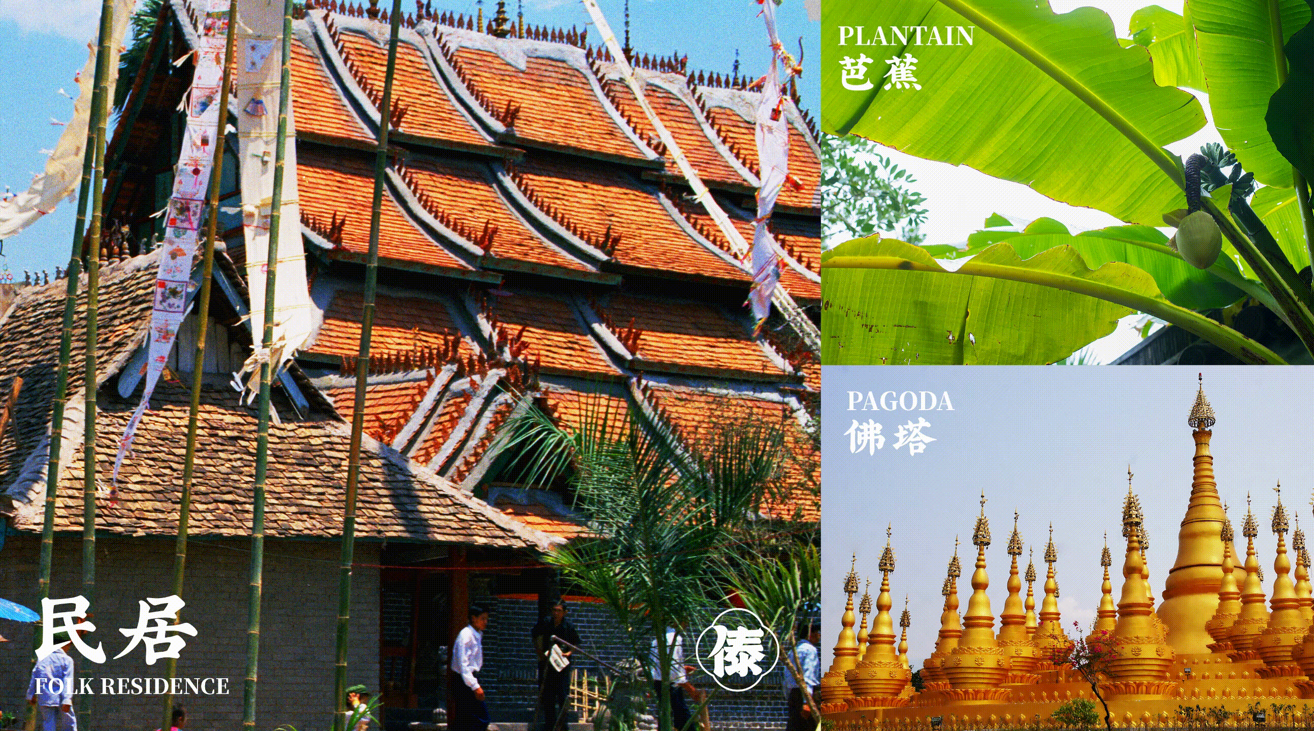傣姐-云南大排档(图ZMzMzNzQ2ODYw) - 品牌 - 站酷设计师SANJIN品牌设计原创素材 - 站酷ZCOOL