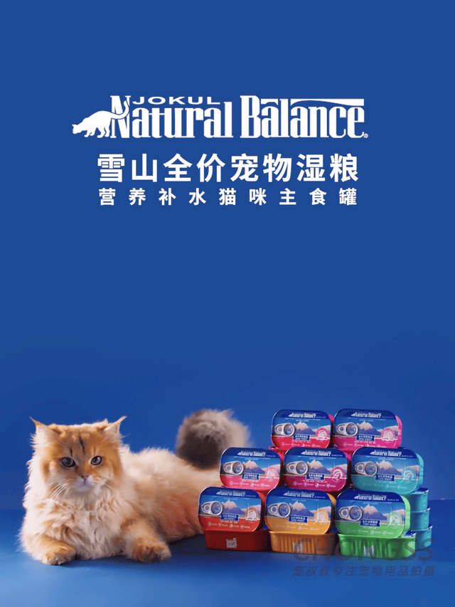 宠物产品摄影|宠叔叔x雪山宠物猫罐头