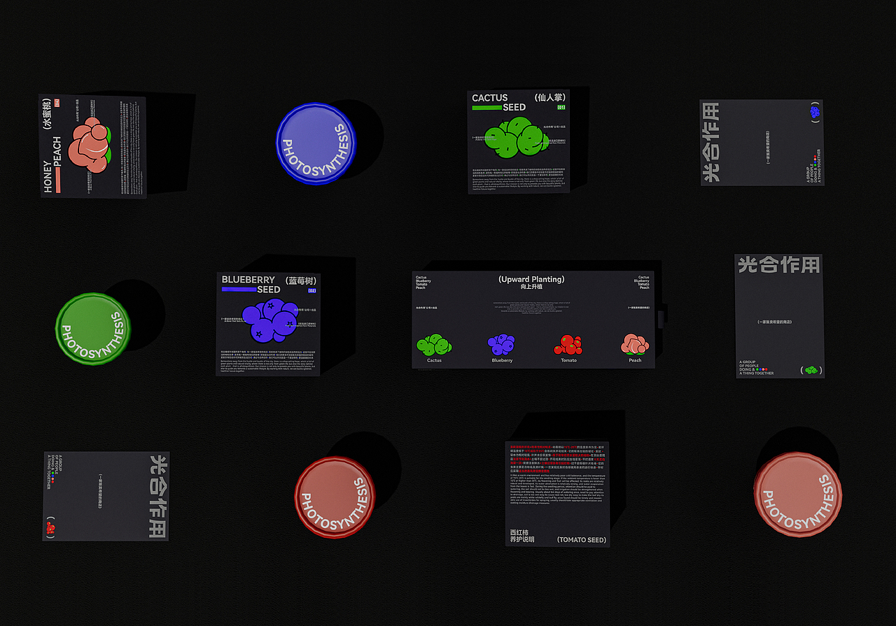 光合作用 | 桌面绿植包装 | 一家贩卖希望的商店