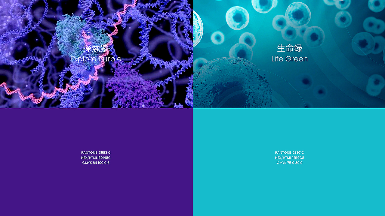 医疗品牌设计 | 脉图Metanotitia医学医疗·健康大数据(图ZMzUyMzA5NTky) - Logo - 站酷设计师尼高品牌设计原创素材 - 站酷ZCOOL