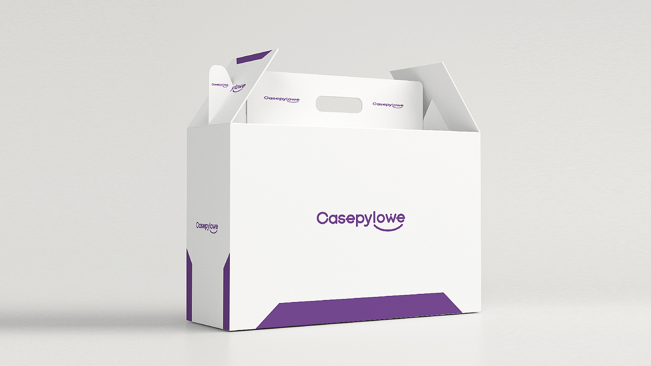 casepylowe logo设计