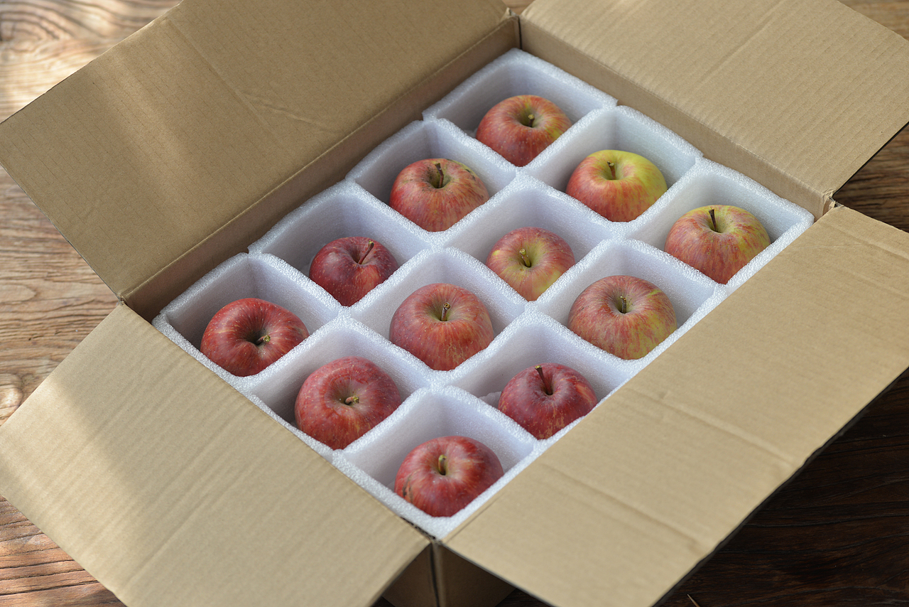 小金红富士 | 054